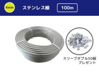 4mmXeX 100m̏ڍׂ͂
