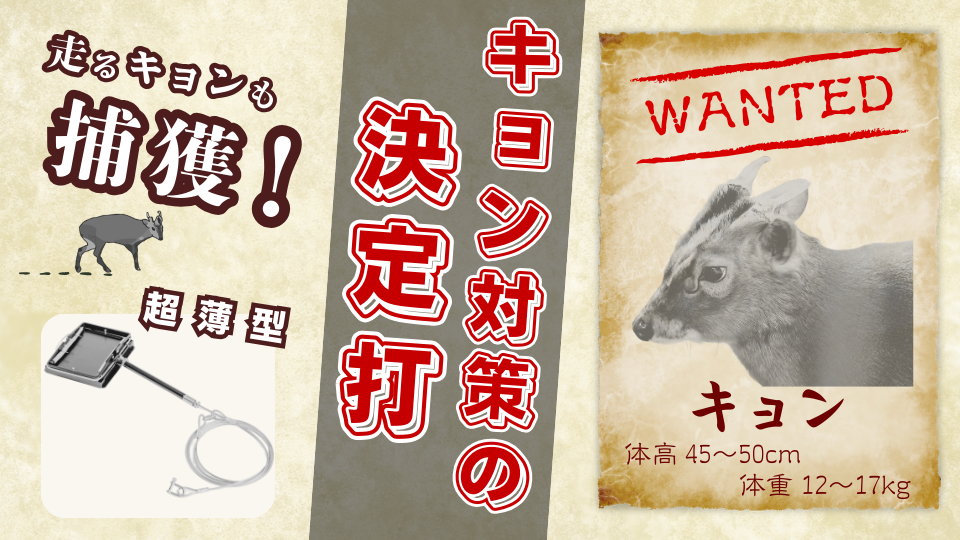 キョン対策の決定打