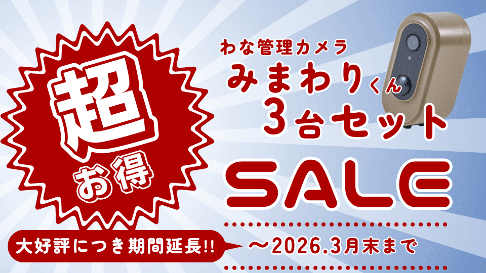 超お得な３台セット